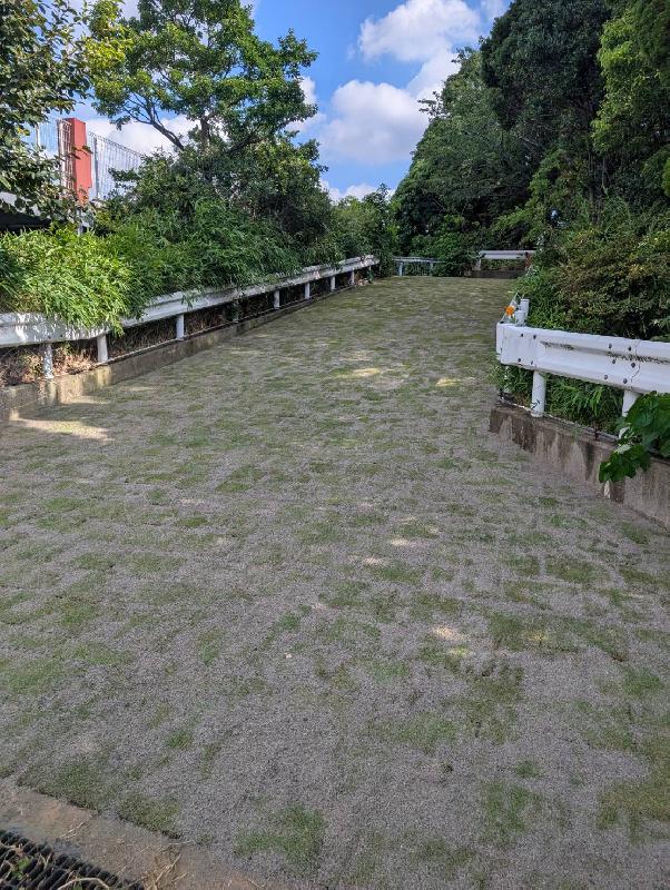 愛知県名古屋市港区　芝生緑化工事